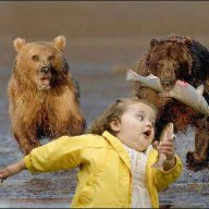 Bear Bait